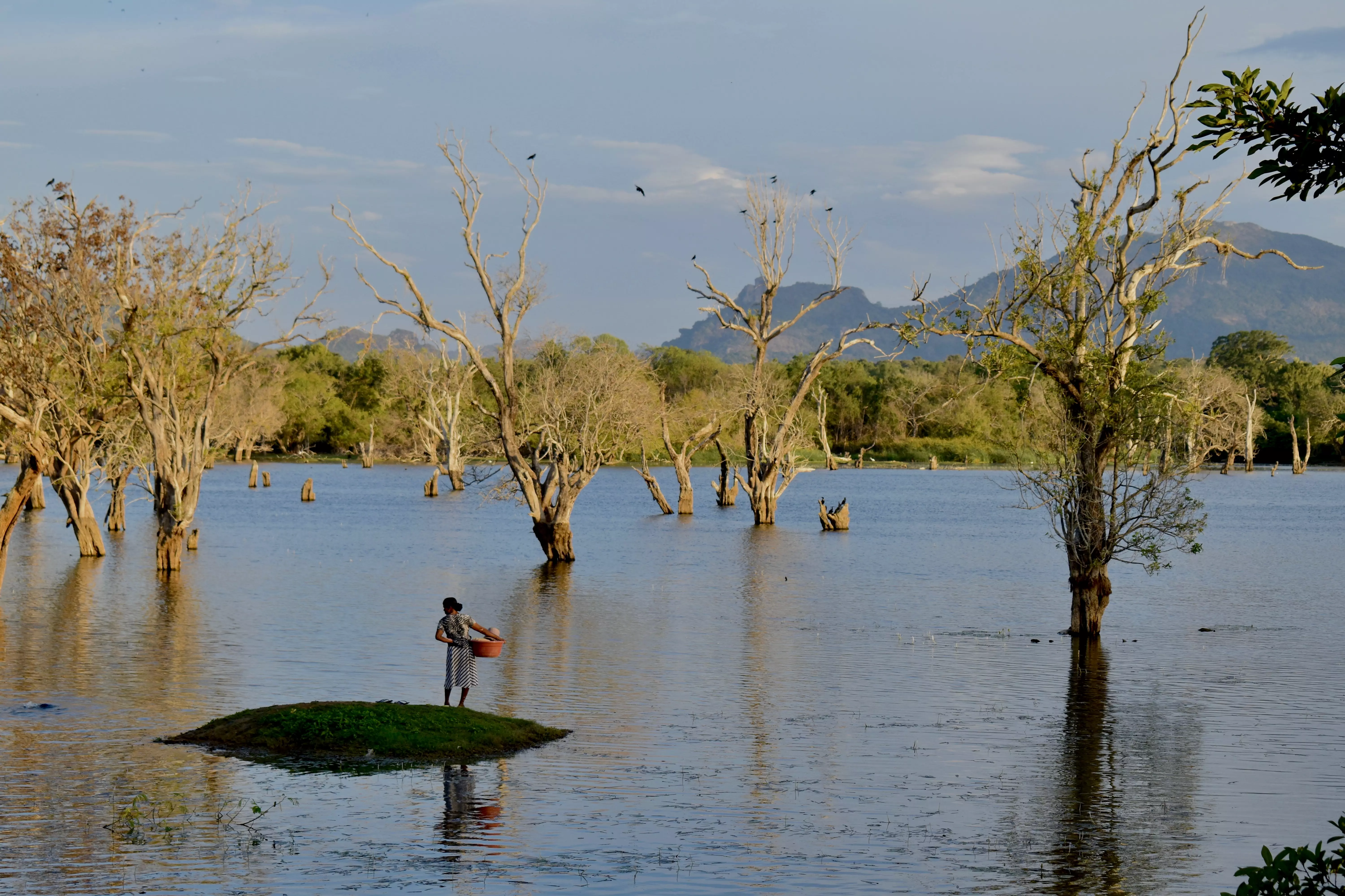 Batuyaya, Sri Lanka